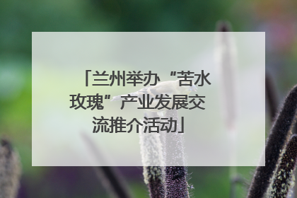 兰州举办“苦水玫瑰”产业发展交流推介活动