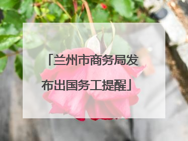 兰州市商务局发布出国务工提醒