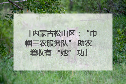 内蒙古松山区：“巾帼三农服务队” 助农增收有 “她” 功