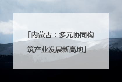 内蒙古：多元协同构筑产业发展新高地