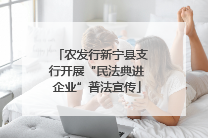 农发行新宁县支行开展“民法典进企业”普法宣传