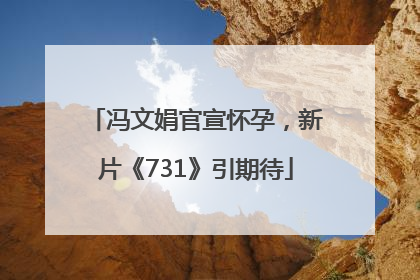 冯文娟官宣怀孕，新片《731》引期待