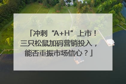 冲刺“A+H”上市！三只松鼠加码营销投入，能否重振市场信心？