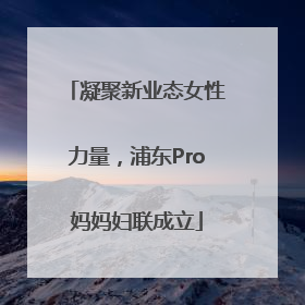 凝聚新业态女性力量，浦东Pro妈妈妇联成立