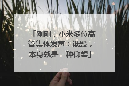 刚刚，小米多位高管集体发声：诋毁，本身就是一种仰望