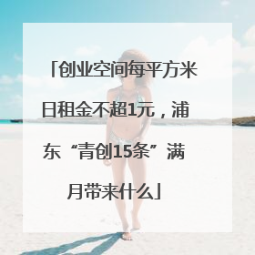 创业空间每平方米日租金不超1元，浦东“青创15条”满月带来什么