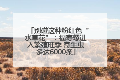 别碰这种粉红色“水草花”：福寿螺进入繁殖旺季 寄生虫多达6000条