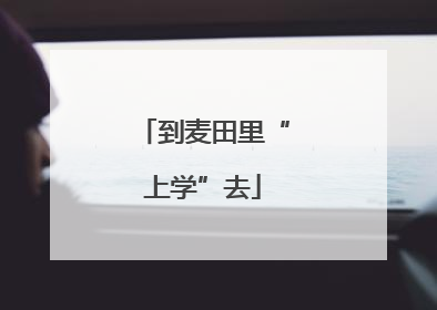 到麦田里“上学”去