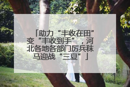 助力“丰收在田”变“丰收到手”，河北各地各部门厉兵秣马迎战“三夏”