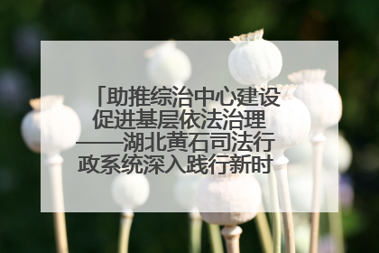 助推综治中心建设 促进基层依法治理——湖北黄石司法行政系统深入践行新时代枫桥经验