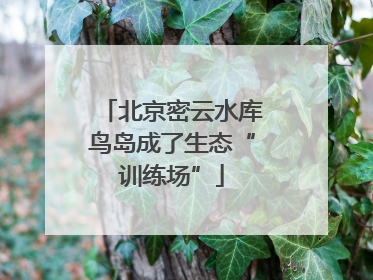 北京密云水库鸟岛成了生态“训练场”