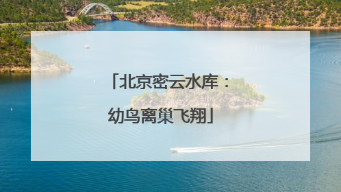 北京密云水库：幼鸟离巢飞翔