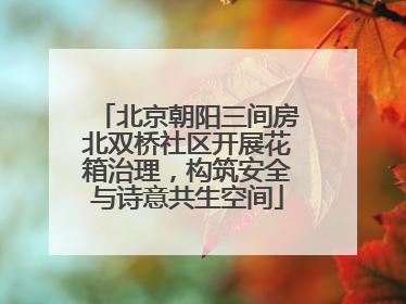 北京朝阳三间房北双桥社区开展花箱治理，构筑安全与诗意共生空间