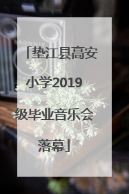垫江县高安小学2019级毕业音乐会落幕
