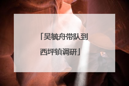 吴毓舟带队到西坪镇调研