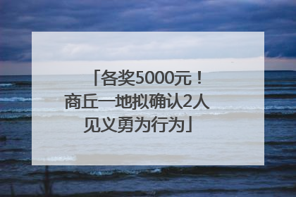 各奖5000元！商丘一地拟确认2人见义勇为行为