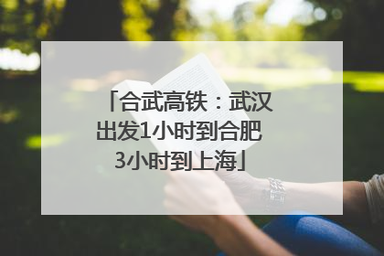 合武高铁：武汉出发1小时到合肥3小时到上海