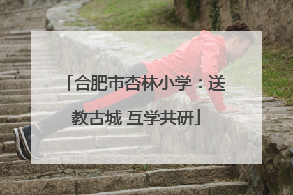 合肥市杏林小学：送教古城 互学共研