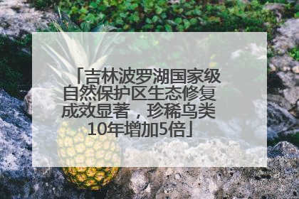 吉林波罗湖国家级自然保护区生态修复成效显著，珍稀鸟类10年增加5倍