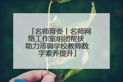 名师育娄丨名师网络工作室组团帮扶 助力薄弱学校教师数字素养提升
