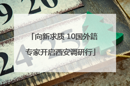 向新求质 10国外籍专家开启西安调研行