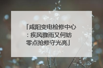 咸阳变电检修中心：疾风骤雨又何妨 零点抢修守光亮