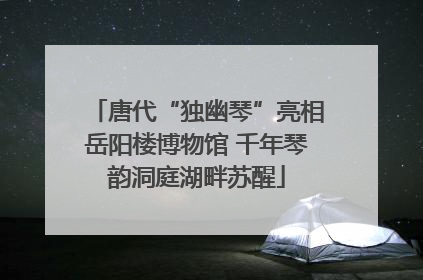 唐代“独幽琴”亮相岳阳楼博物馆 千年琴韵洞庭湖畔苏醒