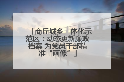 商丘城乡一体化示范区：动态更新廉政档案 为党员干部精准“画像”