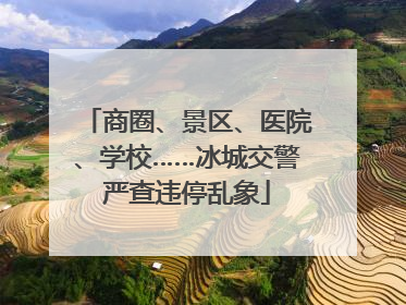 商圈、景区、医院、学校……冰城交警严查违停乱象