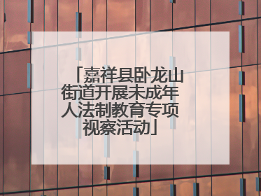 嘉祥县卧龙山街道开展未成年人法制教育专项视察活动