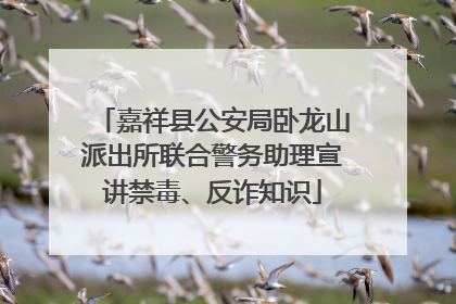嘉祥县公安局卧龙山派出所联合警务助理宣讲禁毒、反诈知识