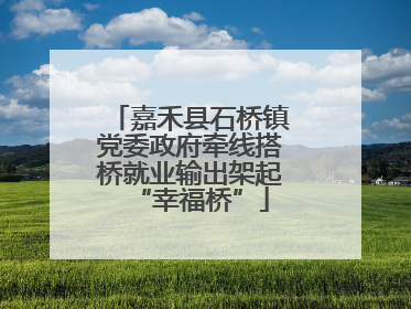 嘉禾县石桥镇党委政府牵线搭桥就业输出架起“幸福桥”
