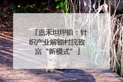 嘉禾坦坪镇：针织产业解锁村民致富“新模式”