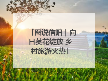 图说信阳｜向日葵花绽放 乡村旅游火热