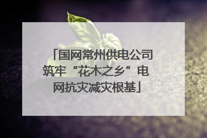 国网常州供电公司筑牢“花木之乡”电网抗灾减灾根基