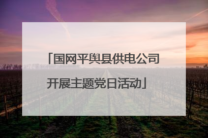 国网平舆县供电公司开展主题党日活动