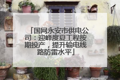 国网永安市供电公司：迎峰度夏工程按期投产，提升输电线路防雷水平