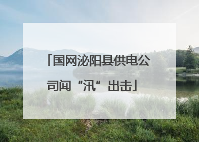 国网泌阳县供电公司闻“汛”出击