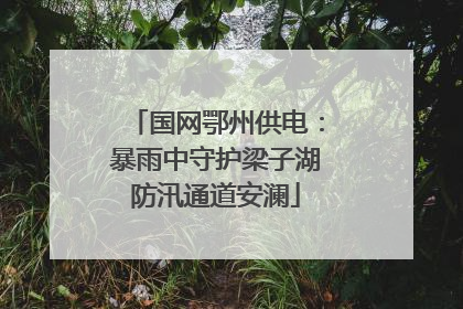 国网鄂州供电：暴雨中守护梁子湖防汛通道安澜