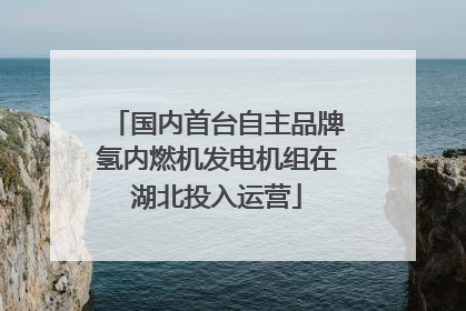 国内首台自主品牌氢内燃机发电机组在湖北投入运营