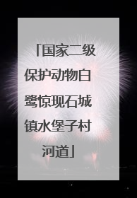 国家二级保护动物白鹭惊现石城镇水堡子村河道