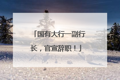 国有大行一副行长，官宣辞职！