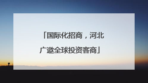 国际化招商，河北广邀全球投资客商