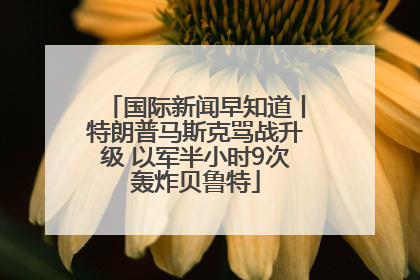 国际新闻早知道丨特朗普马斯克骂战升级 以军半小时9次轰炸贝鲁特