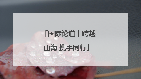 国际论道丨跨越山海 携手同行