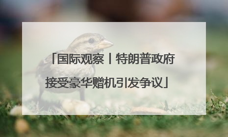 国际观察丨特朗普政府接受豪华赠机引发争议