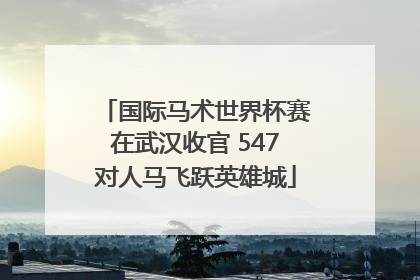 国际马术世界杯赛在武汉收官 547对人马飞跃英雄城