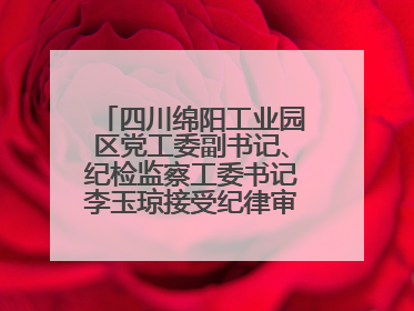 四川绵阳工业园区党工委副书记、纪检监察工委书记李玉琼接受纪律审查和监察调查