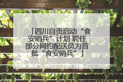 四川自贡启动“食安哨兵”计划 聘任部分网约配送员为首批“食安哨兵”