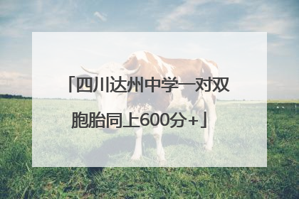 四川达州中学一对双胞胎同上600分+